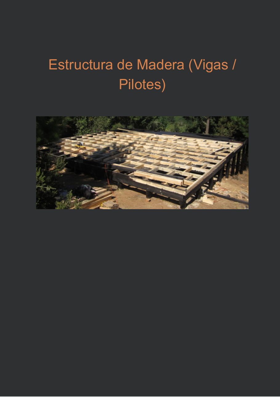 Estructura de madera con vigas y pilotes